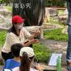 培育台灣山桂花說明示範
