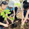 親子共同種植樹苗