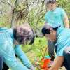 親子共同種植樹苗