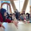 平安龜實驗室
