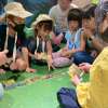 桌遊活動–生態公園