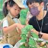 漫遊山林探險趣
